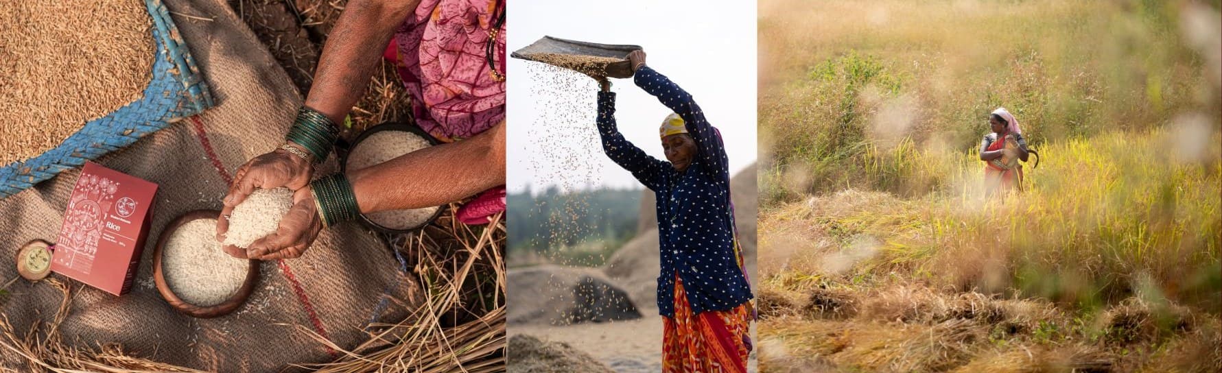 भाताविषयीची मुख्य पट्टी — डावीकडे बांगड्या घातलेल्या हातांत तांदूळ आणि शेजारी शबरी नॅचरल्सचा तांदळाचा खोका, मध्यभागी सुपाने धान्य पाखडणारी वृद्ध महिला, उजवीकडे विळा घेऊन पिकलेल्या भातशेतातून चालणारी महिला